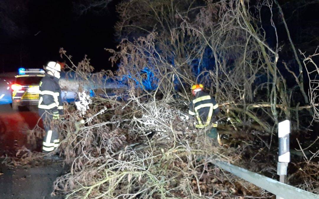 Nach Angaben der Feuerwehr hat in Holwzickede am frühen Morgen ein umgestürzter Baum auf dem Billmericher Weg ein Auto beschädigt, verletzt wurde niemand. 