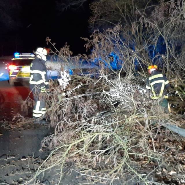 Nach Angaben der Feuerwehr hat in Holwzickede am frühen Morgen ein umgestürzter Baum auf dem Billmericher Weg ein Auto beschädigt, verletzt wurde niemand. 