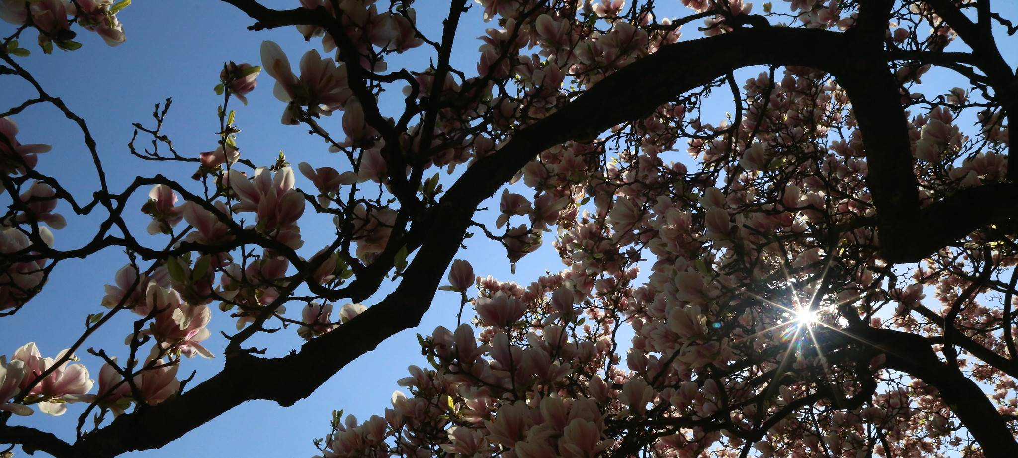 Eulenstraße in Fröndenberg gesperrt