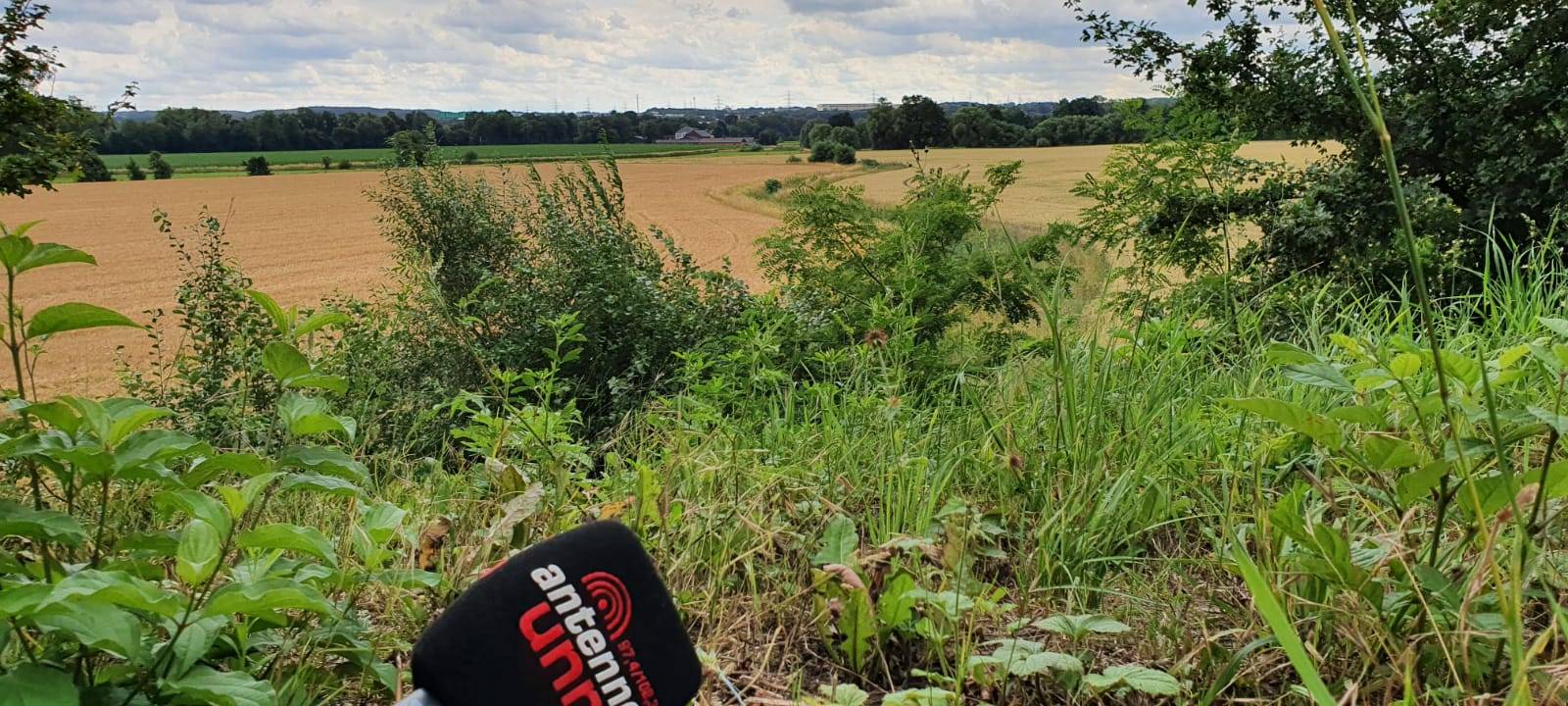 Einmal richtig durchatmen und sich aus dem Alltag herausträumen. Das Ganze gibt es kostenlos und ist direkt vor unserer Nase – der perfekte Ort für die Urlaubspause Zuhause. Wir stellen euch die Uelzener Heide vor.