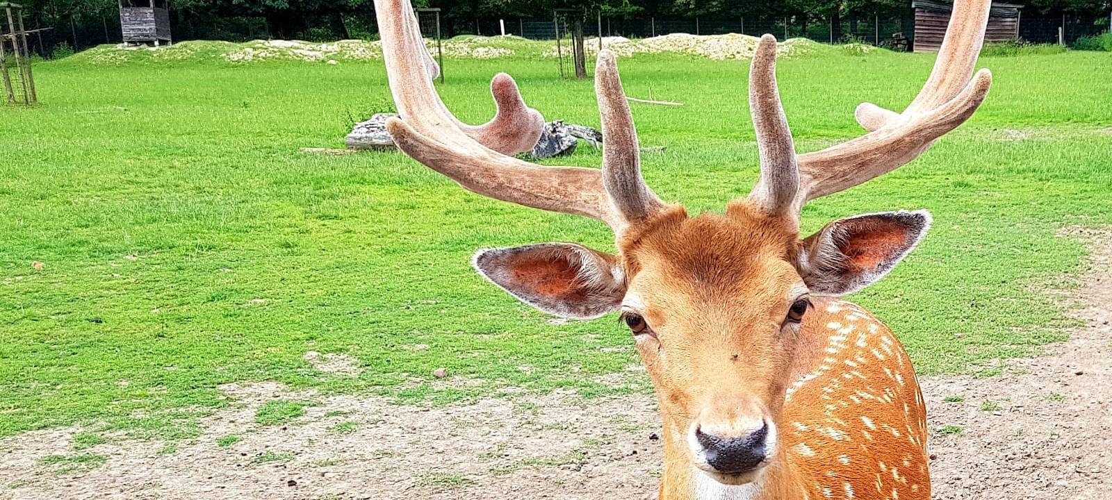 Ausflugstipp: Swin Golf im Gasthaus Eickholt