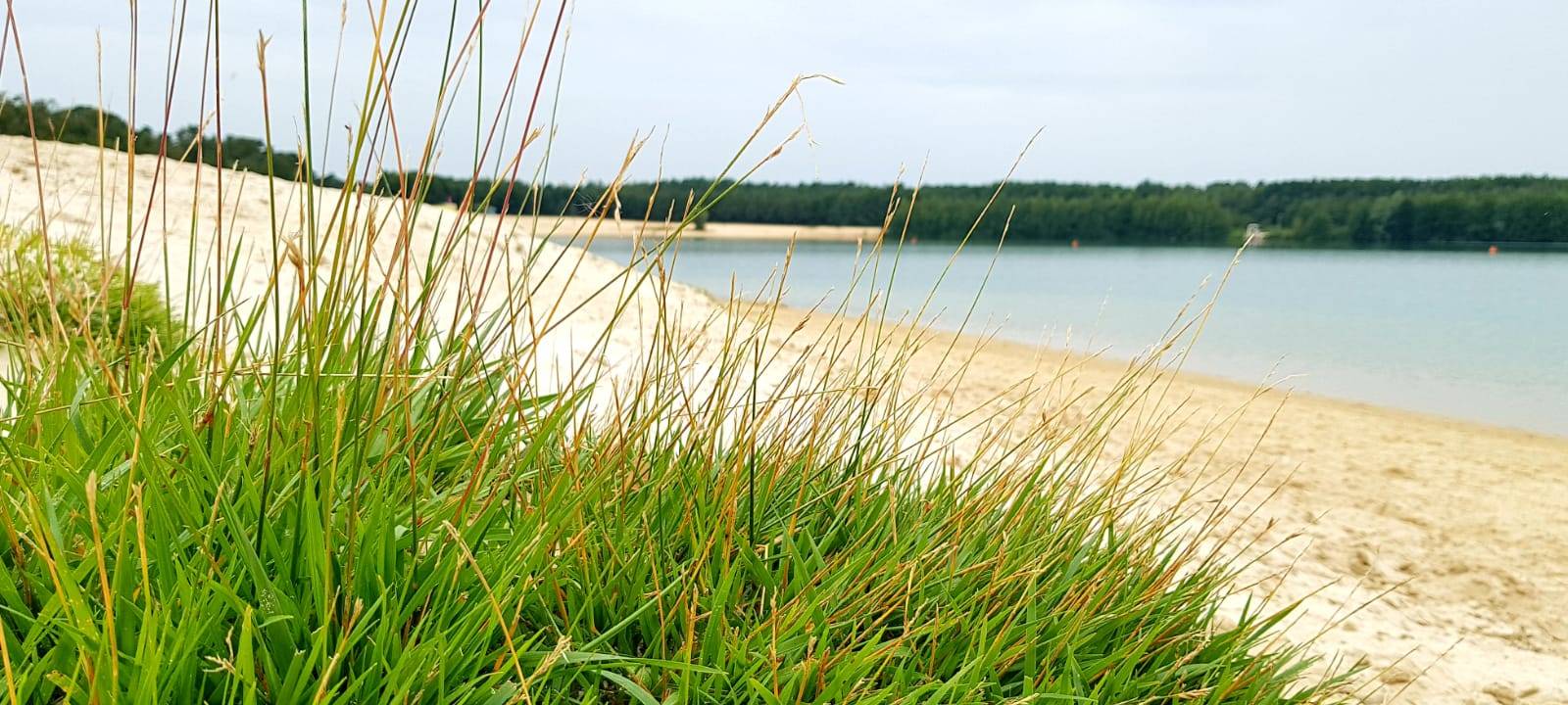Ausflugstipp: Silbersee II in Haltern