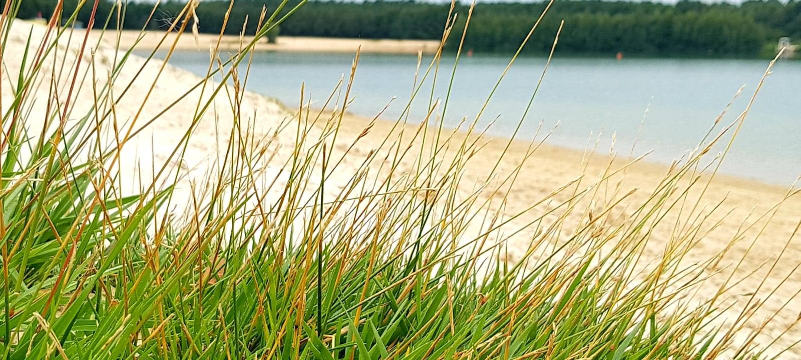 Weiße Strand, türkisfarbenes Wasser: Der Silberssee in Haltern.