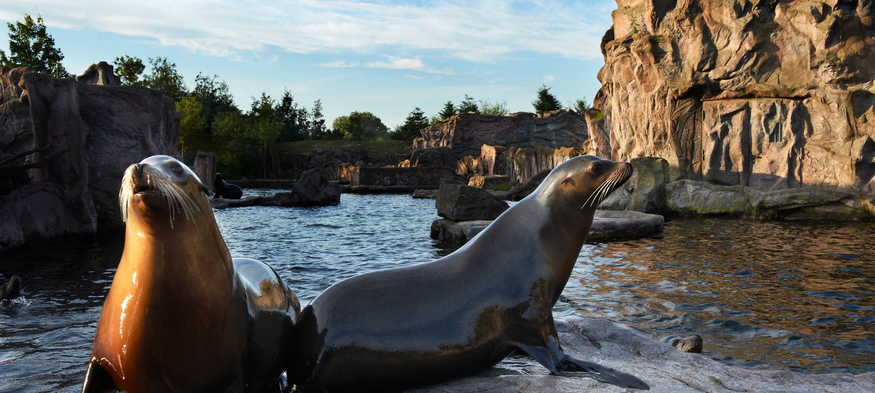 Ausflugstipp: Zoom Gelsenkirchen