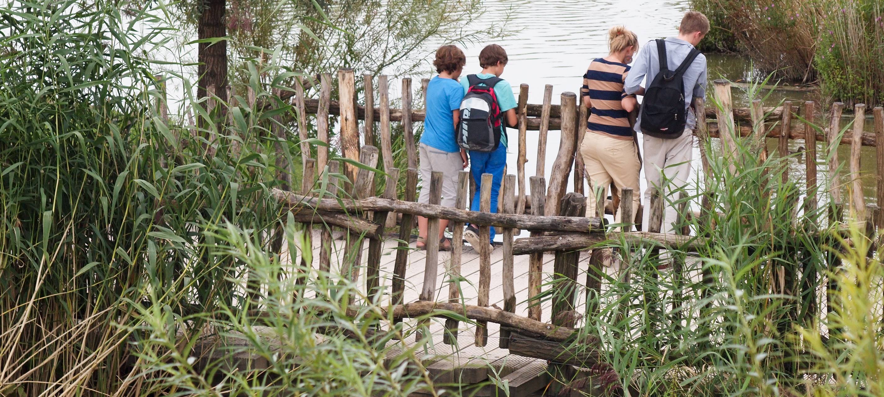 Corona: Parks, Museen und Zoos öffnen