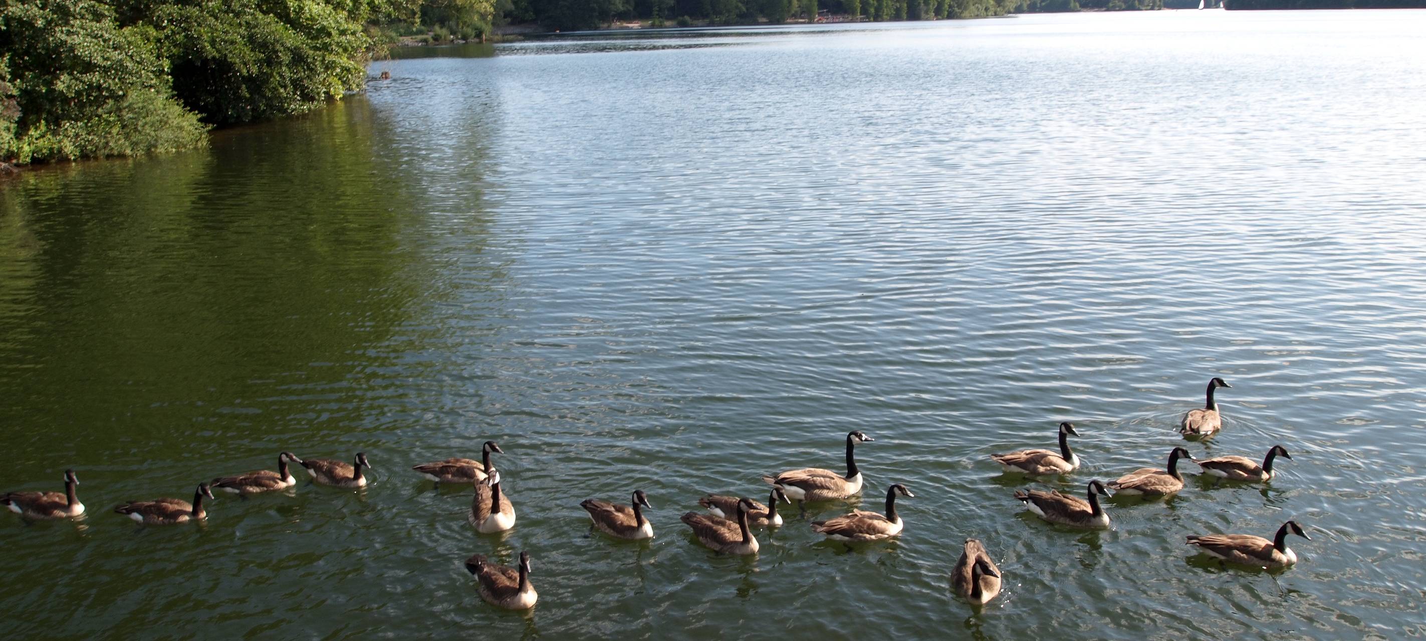 Wasserentnahme im Kreis Unna bald verboten