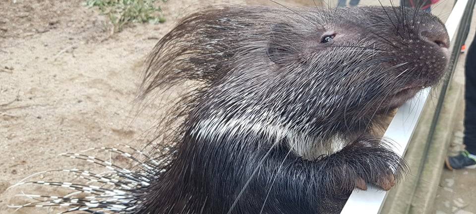 Ausflugtipp Zoo Dortmund