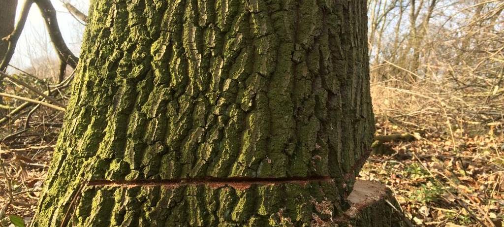 Schwerte verklagt Straßen.NRW