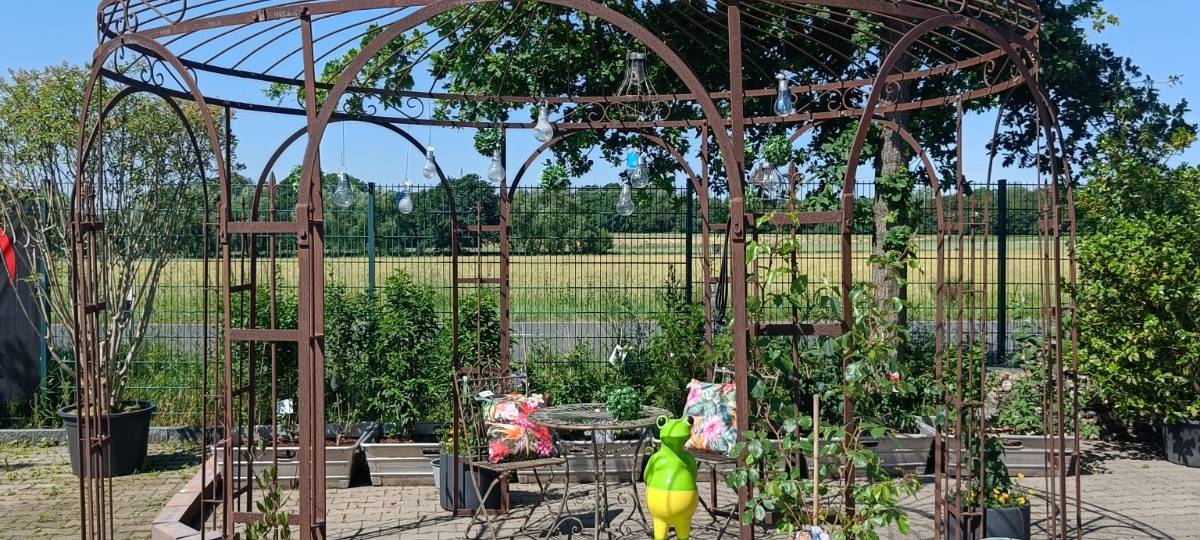 Der Antenne Unna-Garten: #11 Rasen