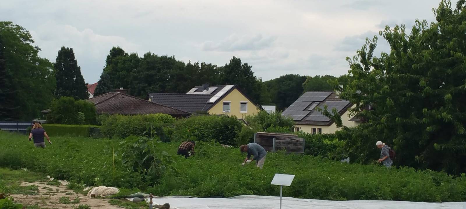 Solidarische Landwirtschaft in Unna