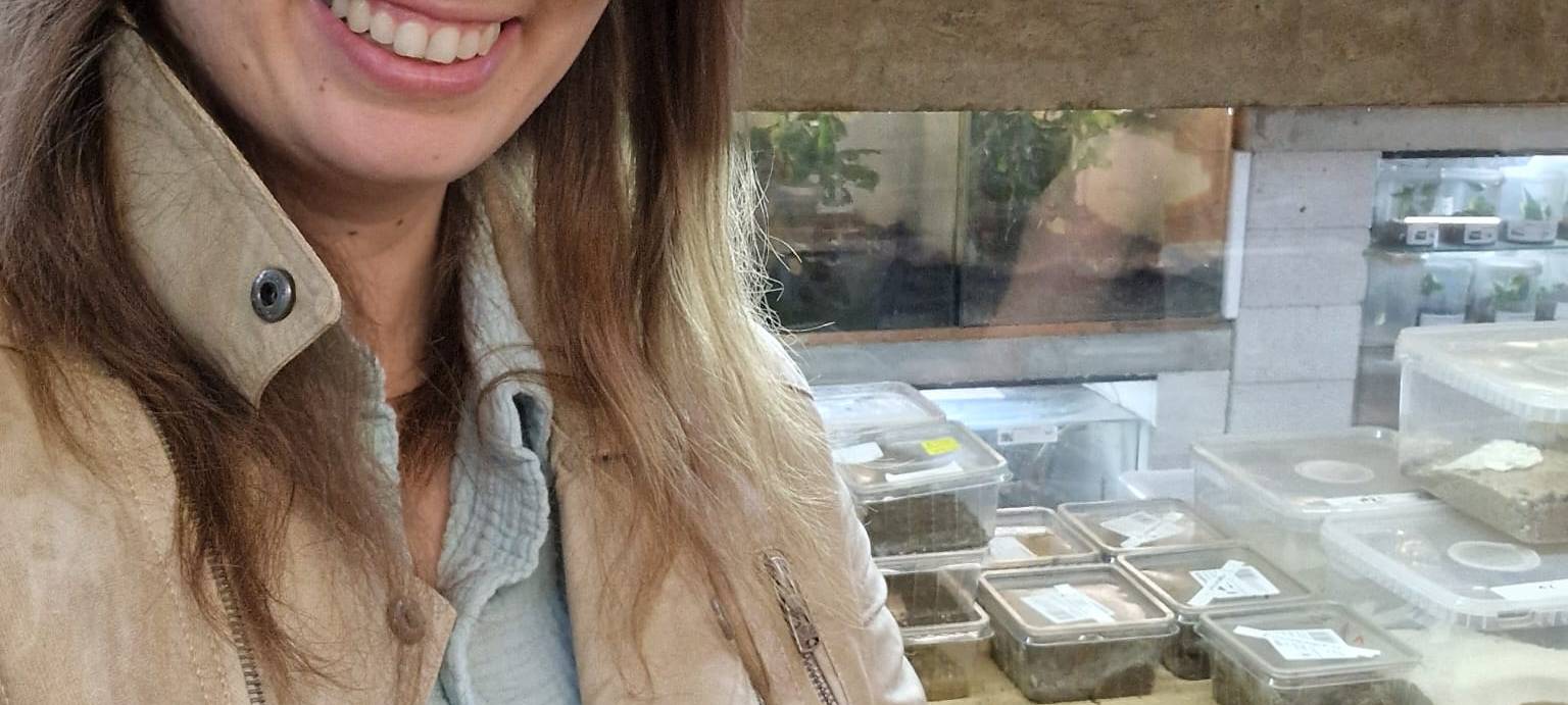 Tag des Haustiers: Firma Kerf aus Unna verkauft Vogelspinnen