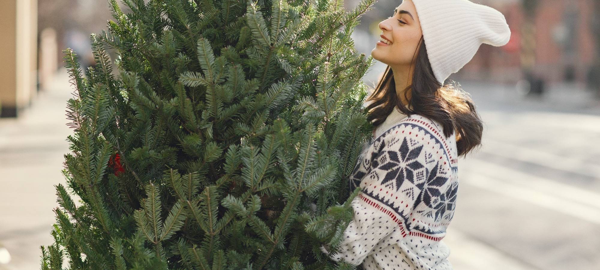 Frau kauft Tannenbaum