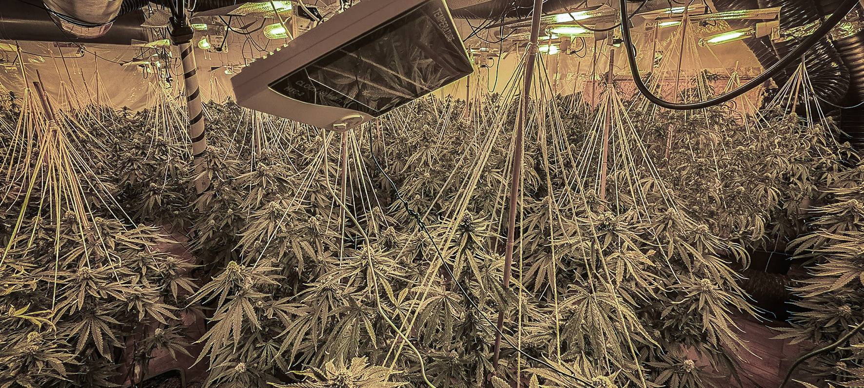 Schlag gegen Drogenbande in Kamen und Bergkamen