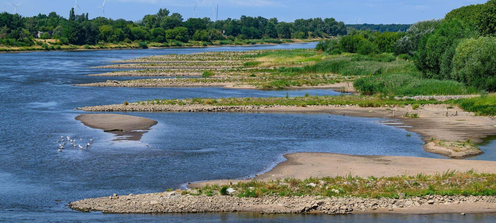 Niedrigwasser im Grenzfluss Oder