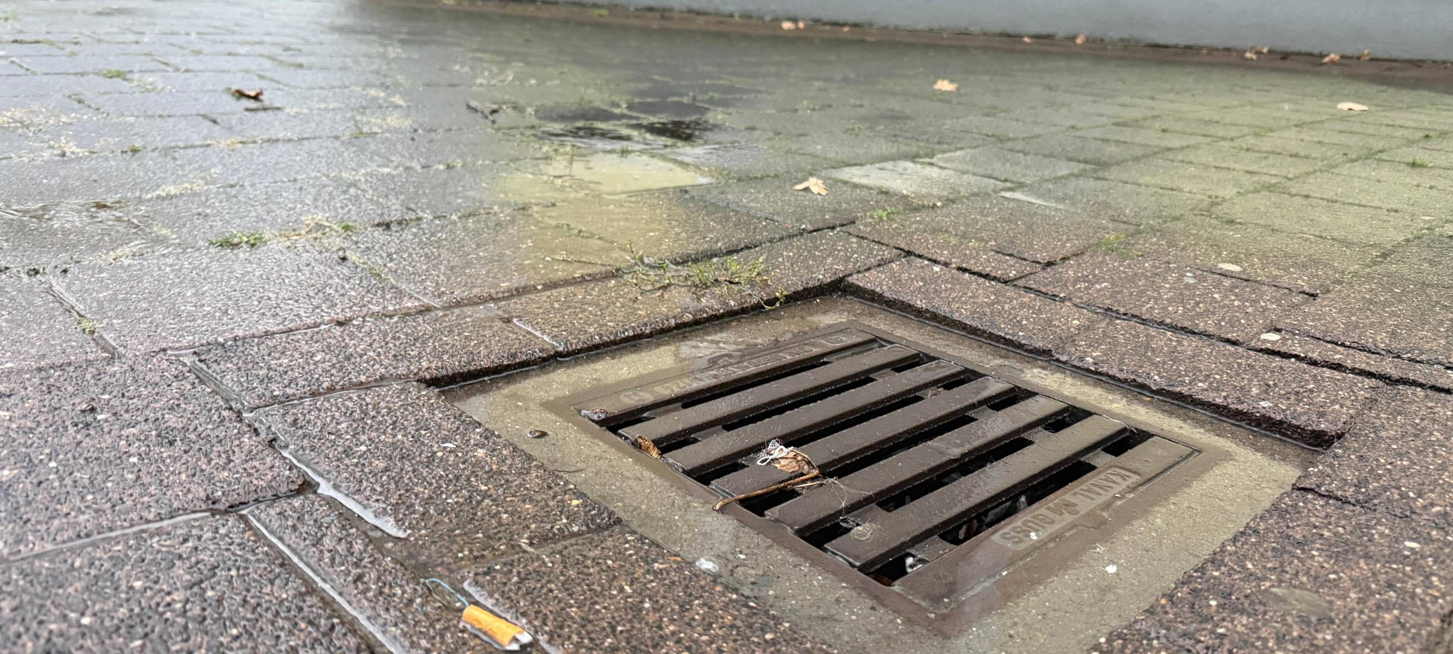 Durch die Schlitze des Gullys passt viel - es sollte aber nicht alles rein.