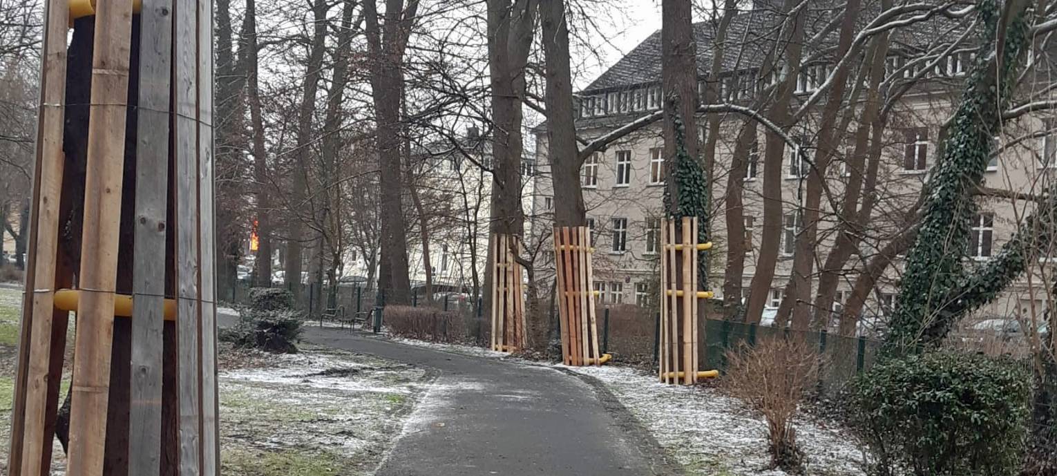 Den Auftakt der Arbeiten nahe dem Amtsgericht im Kurpark bildet eine umfangreiche Baumschutzmaßnahme, um den vorhandenen Baumbestand während der Bauphase bestmöglich zu sichern.
