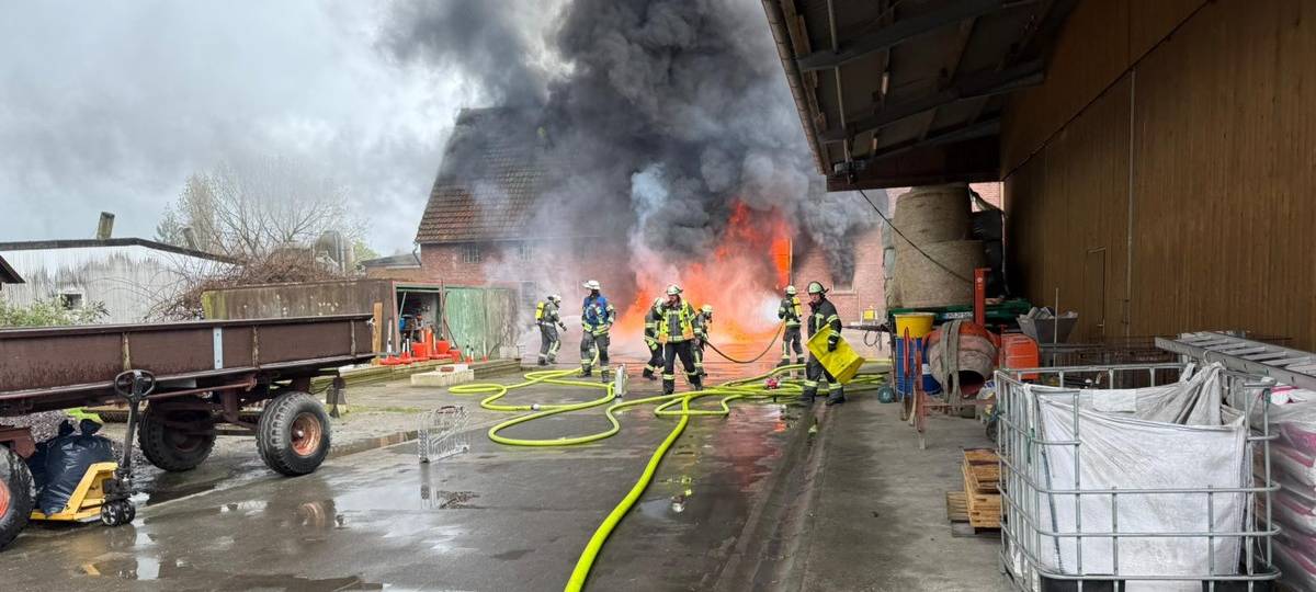 Werne: 100 Ferkel bei Scheunenbrand gestorben