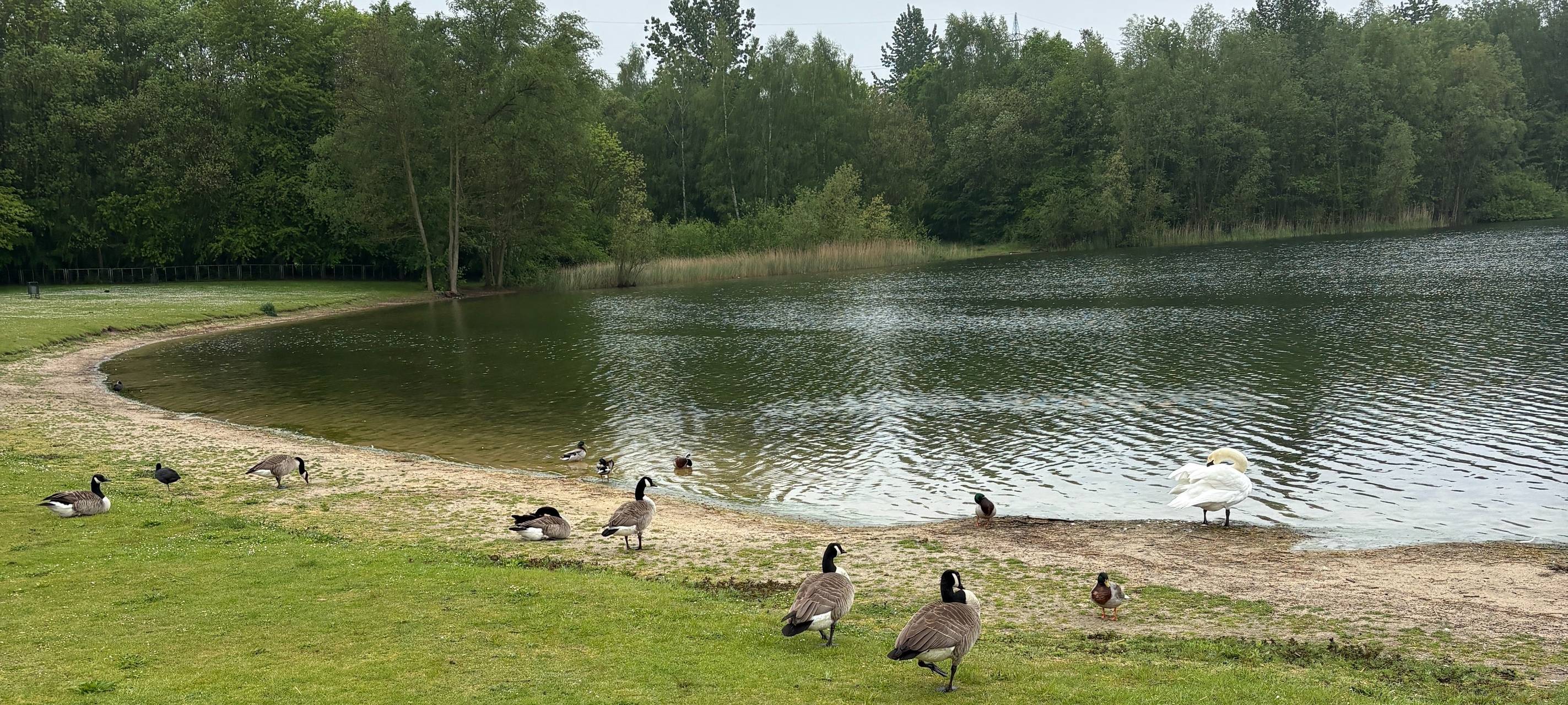 Vorsicht beim Baden im Horstmarer See in Lünen