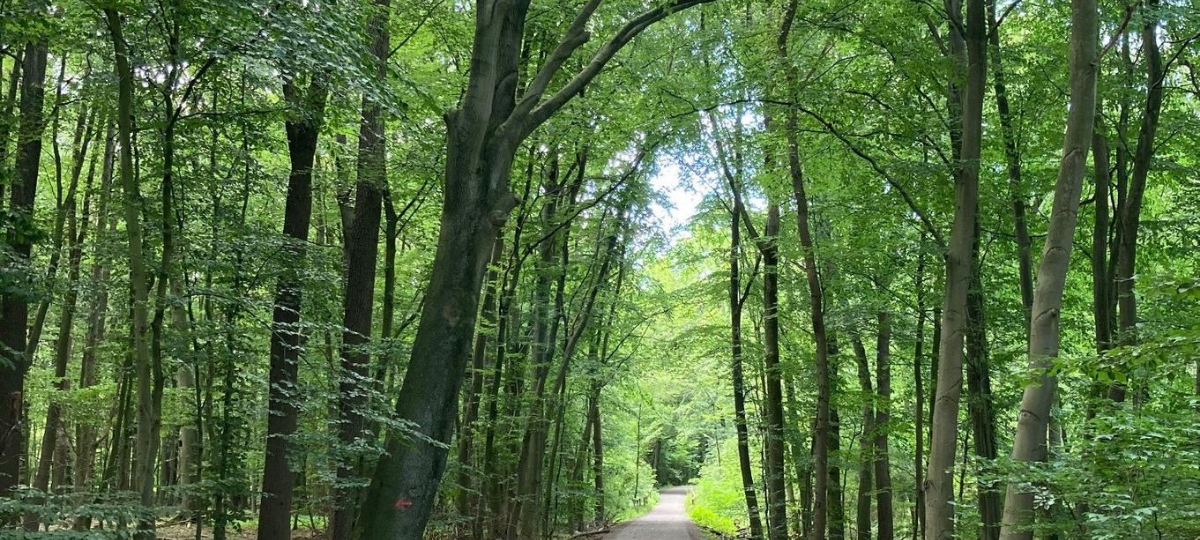 Ausflugstipp: Beversee in Bergkamen