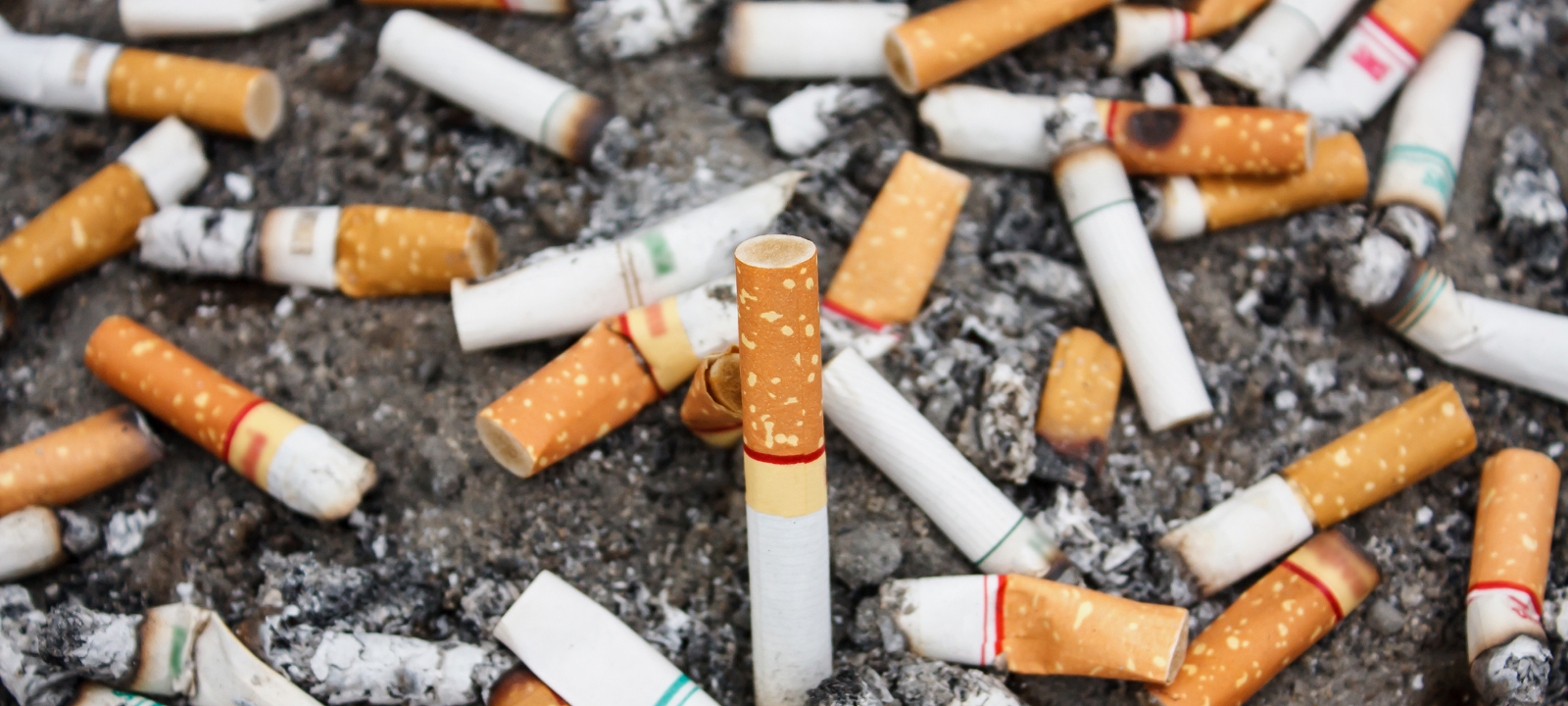 Müllsammelaktion: Schwerte soll von Zigarettenkippen befreit werden