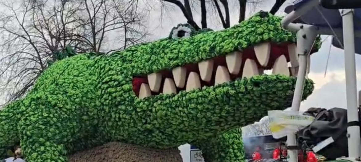 Dieser Wagen zog an Rosenmontag in Werne mit durch die Innenstadt.