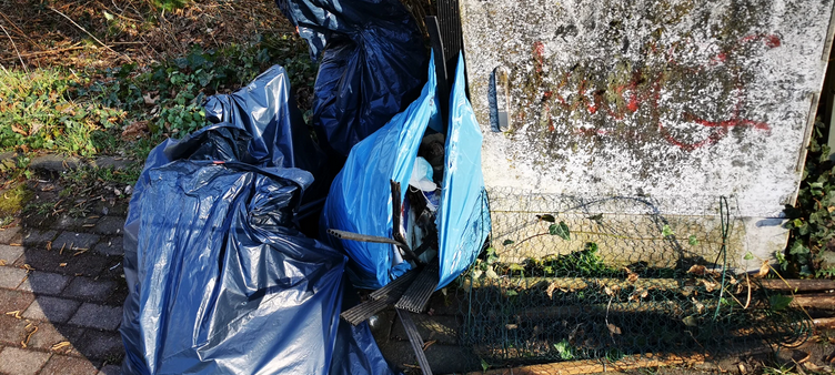 Cleanup Day in Lünen